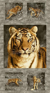 Andover Fabrics Tiger Kingdom Panel 8696 C